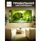 Экран на люверсах 264x148 см, 120 дюймов, 16:9 (прямая и обратная проекция)
