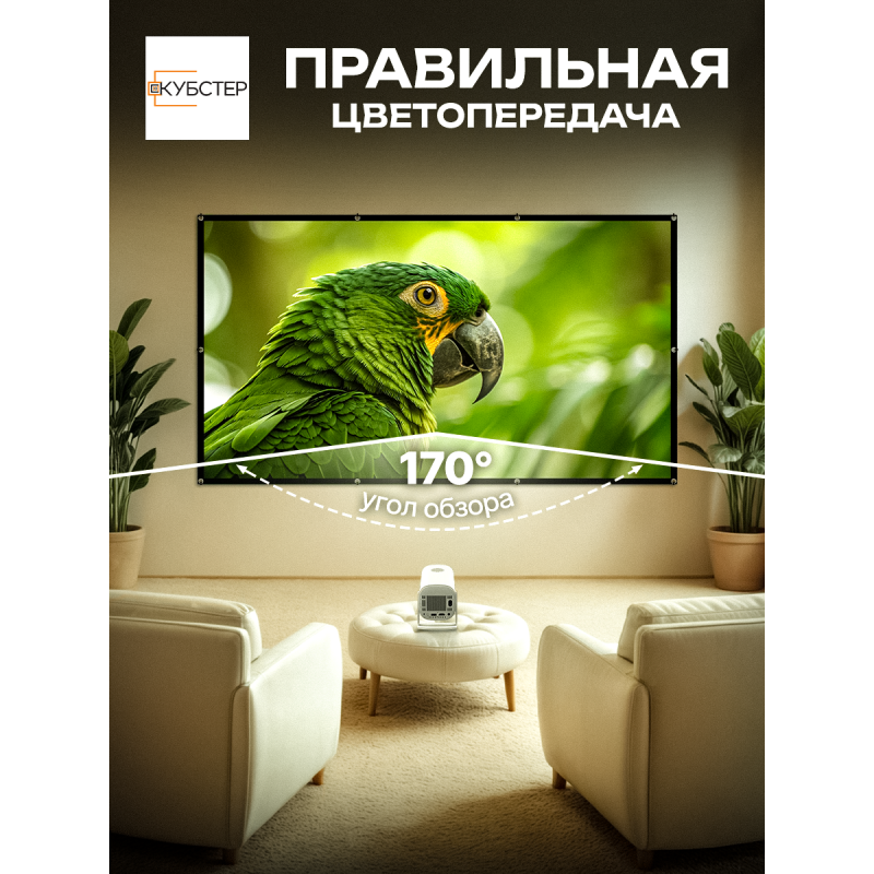 Экран на люверсах 264x148 см, 120 дюймов, 16:9 (прямая и обратная проекция)