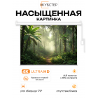 ALR экран с электроприводом Кубстер 265х149 см (16:9), 120 дюймов