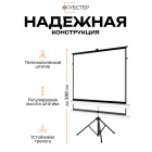 Экран на штативе КУБСТЕР с возвратным механизмом 244 на 183 см (4:3), 120 дюймов