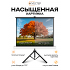 Экран на штативе КУБСТЕР с возвратным механизмом 244 на 183 см (4:3), 120 дюймов