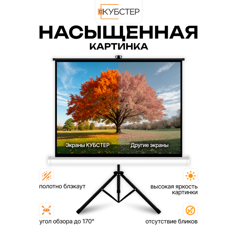 Экран на штативе КУБСТЕР с возвратным механизмом 244 на 183 см (4:3), 120 дюймов