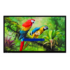 Интерактивная панель 65 дюймов HAVIS HWST65-IFPD02 с ИИ камерой, Android 14