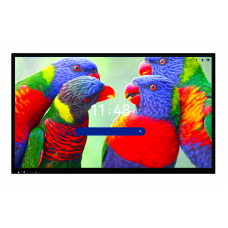 Интерактивная панель 55 дюймов HAVIS HWST65-IFPD02 с ИИ камерой, Android 14