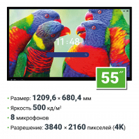 Интерактивная панель 55 дюймов HAVIS HWST65-IFPD02 с ИИ камерой, Android 14