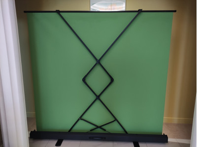 Экран хромокей лягушка